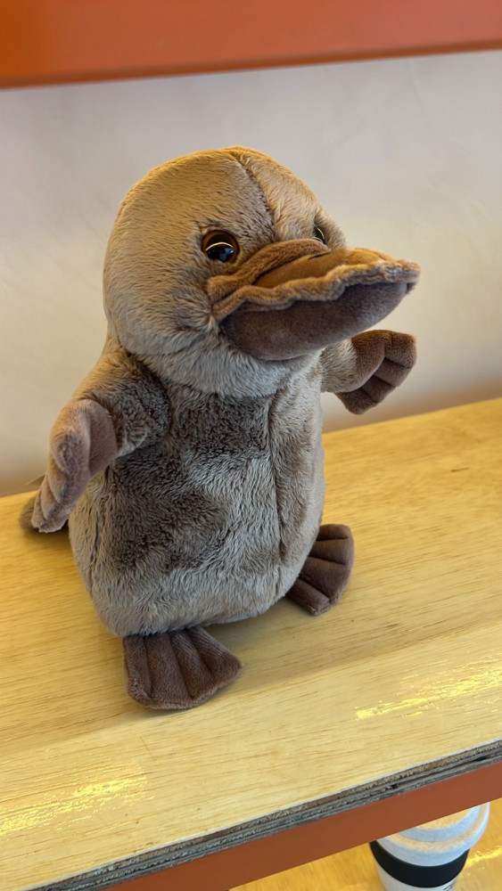 Pelucia DuckBill em pé